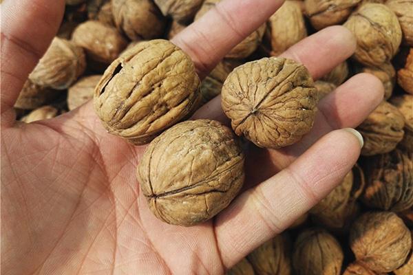 失眠|它们是天然的“安眠药”,每天睡前吃一点,赶走失眠,想睡就能睡