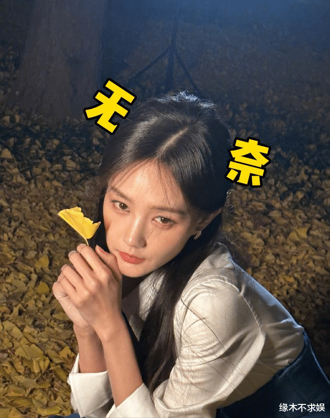 张兰|李一桐辞演《武庚纪》，男主任嘉伦被骂惨，迪丽热巴工作室躺枪