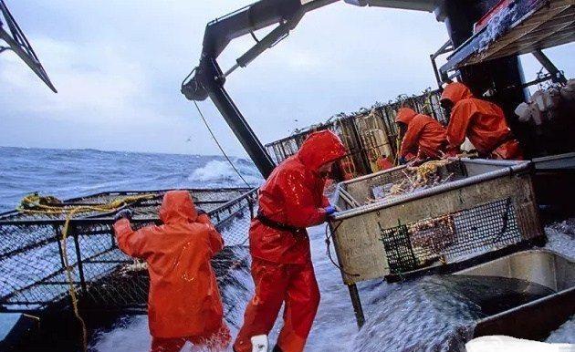 怀集|世界上最危险的工作,1年工作5天可赚70万,平均7天丧生1人!