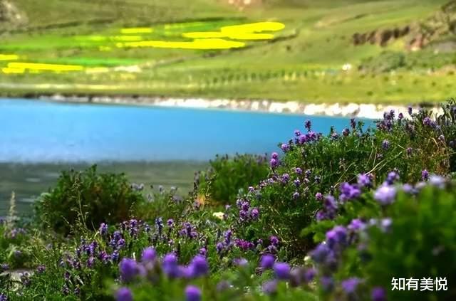 草原|适合初夏去的12个地方，每一个都堪称避暑胜地，赶紧收藏起来吧！
