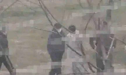 王鸥|张子枫其实早有暗示?王鸥和魏晨太有综艺感了?周迅好事将近?