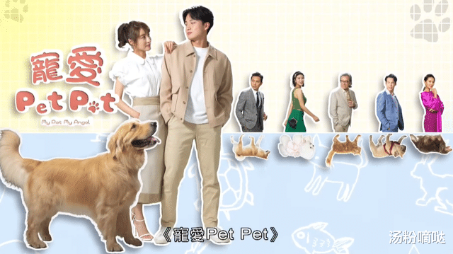 TVB|2023年8部TVB巡礼剧曝光,陈法蓉陈浩民惊喜亮相,你最期待哪部?