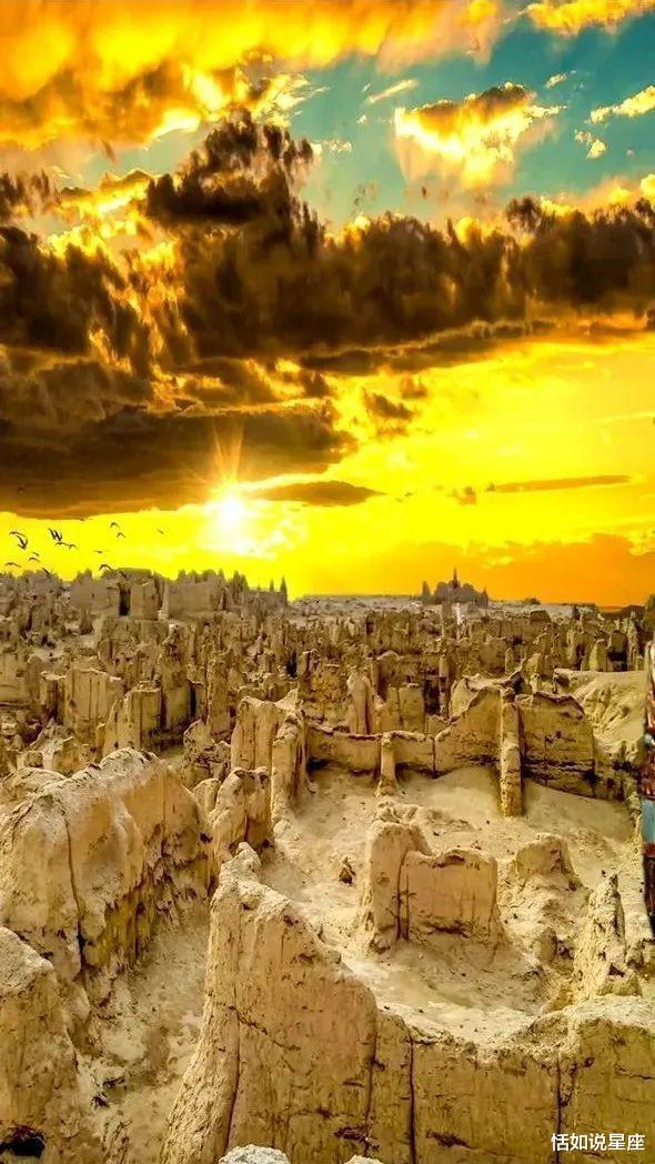 胡杨林|中国最贵的景区,一张门票3500元,外国人进去要交30万