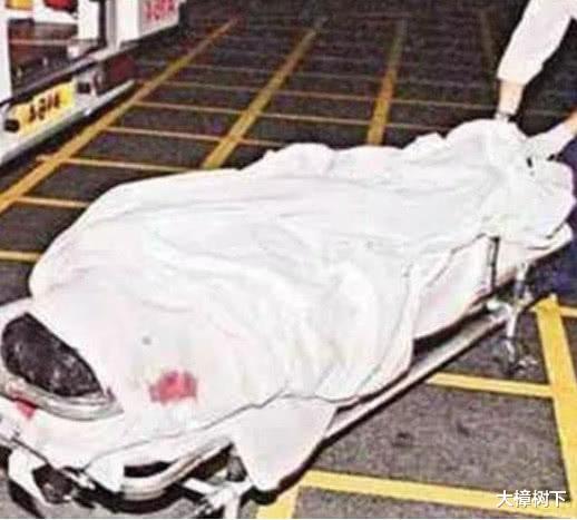 张国荣|2003年张国荣陨落，张柏芝灵前忏悔：若不是我，哥哥就不会死