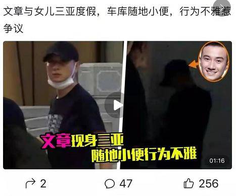 马伊琍|文章醉酒后在卡车旁如厕，由助理掩护，一年前就曾在车库里小便