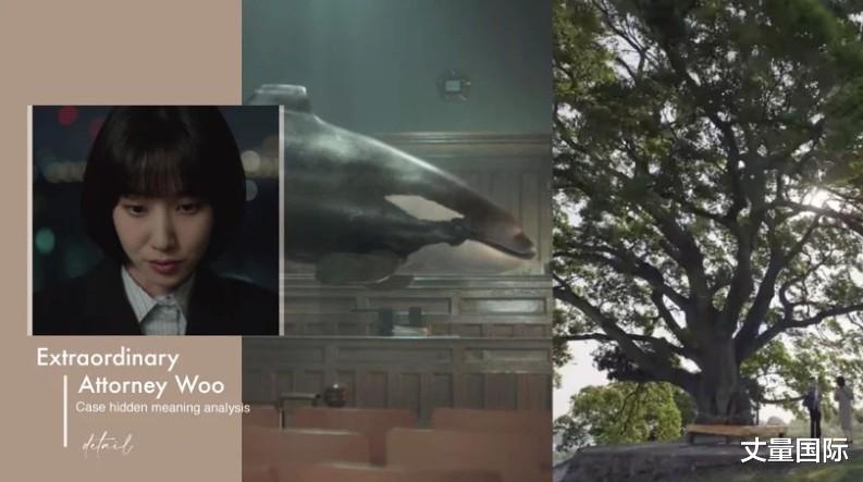 非常律师禹英禑|《非常律师禹英禑》案件隐藏意义解析!「朴树」生长环境藏有深意