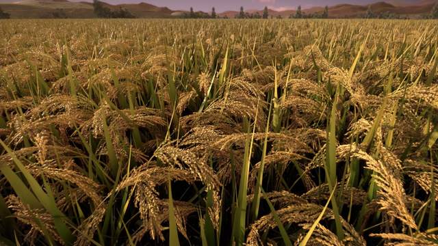 今日处暑|暑去渐凉,静待秋来~