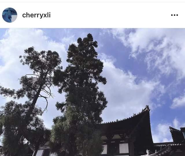 李晓峰|刘恺威新欢是女星李晓峰,离异有儿子,前夫与王中磊汪小菲是好友