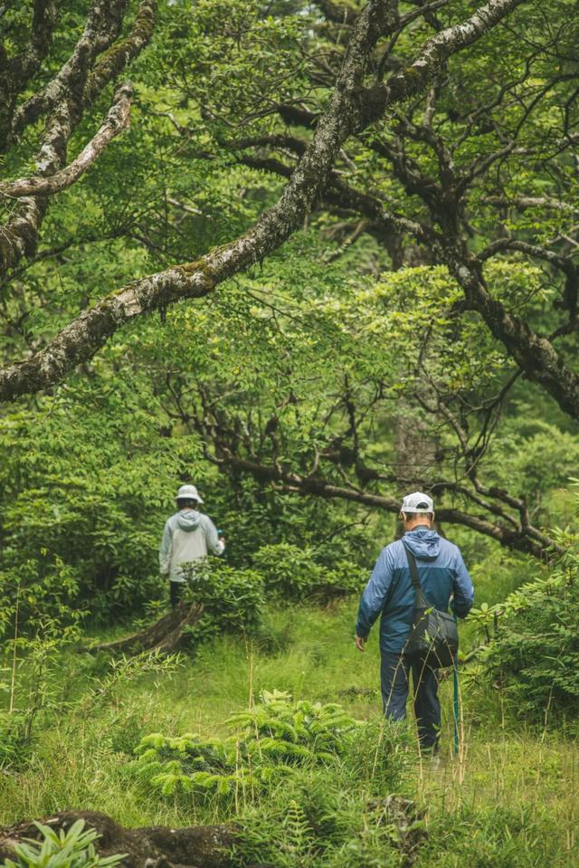 |别再喊热了!这个被央视疯狂点赞的避暑秘境,18℃!爆凉快!