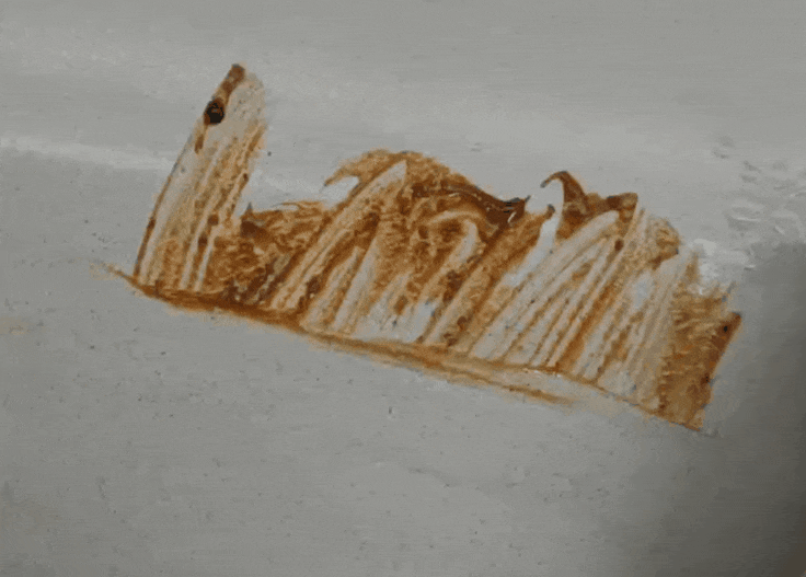 装修界“后起之秀”岩板,值不值得投入?来听听大实话