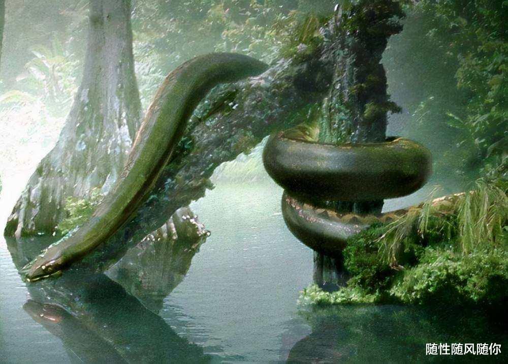 世界上最大的蛇有多大?秦岭“盘山巨蟒”真存在吗?