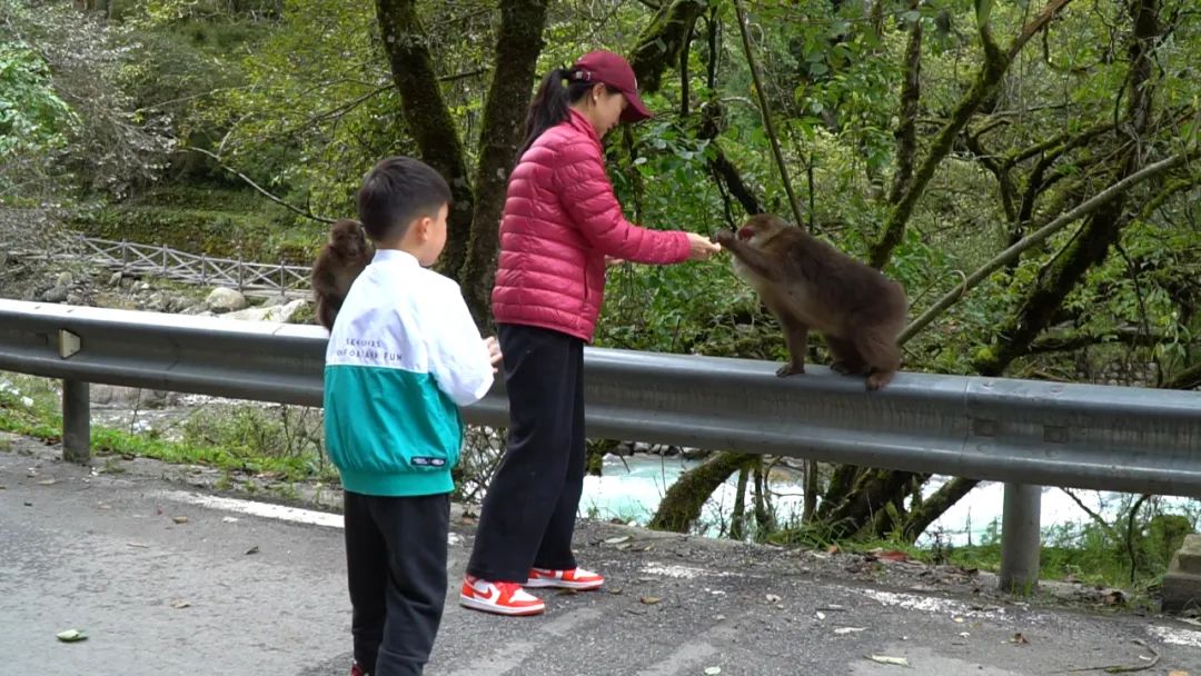 露营|二郎山喇叭河景区:人与自然和谐相处