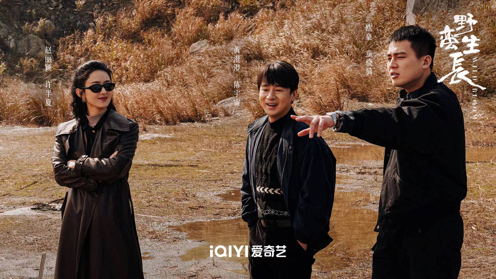 赵丽颖|《风吹半夏》：一个预告片，就封神，赵丽颖新剧，凭什么这么豪横？