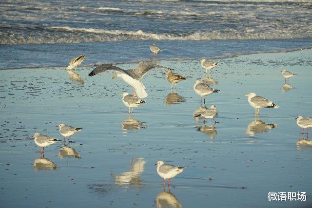 |工作6年,那些越早知道越好的职场经验(建议收藏)