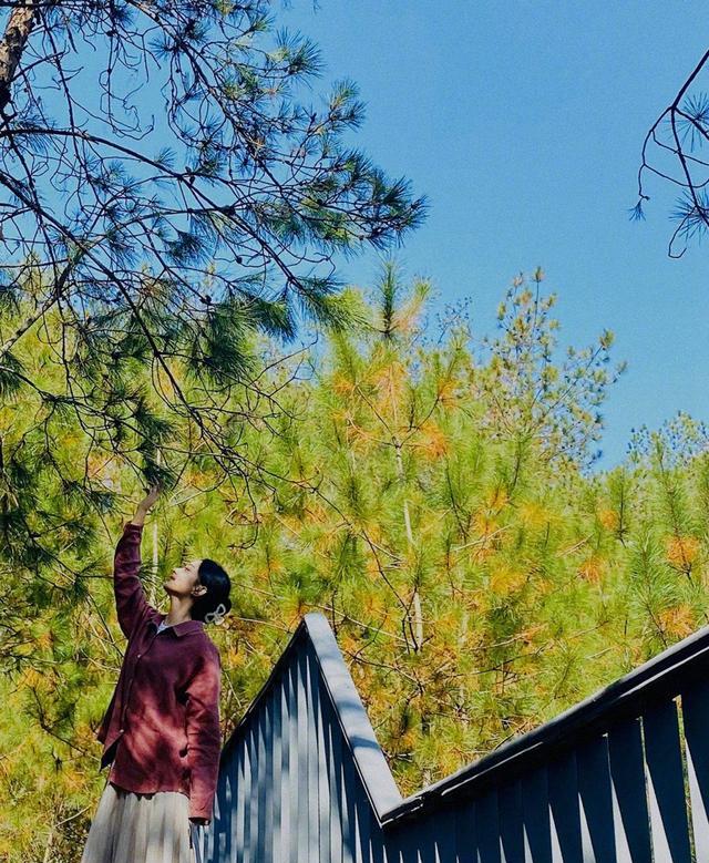 赵丽颖|赵丽颖条纹长裙阳光明媚户外写真