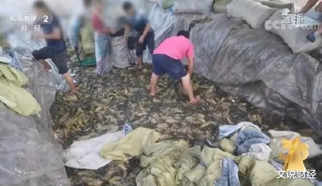 医美 岁岁年年今又是!今年的“3·15”晚会提到了哪些消费乱象?