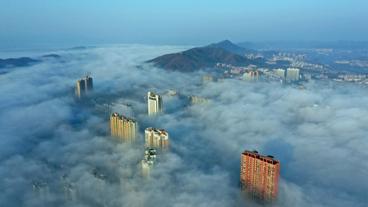 荷花|我国四大避暑胜地之一，距离火炉武汉仅160公里，大佬们曾扎堆在此建别墅
