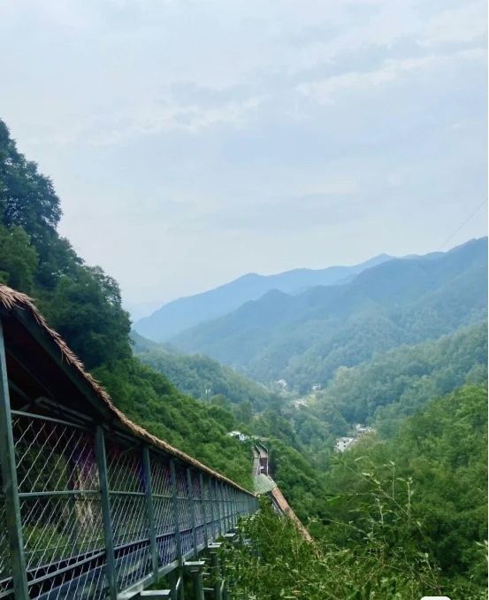 洛阳|河南旅游景区太给力了,免费两个月,来洛阳这个小众宝藏景区踩点