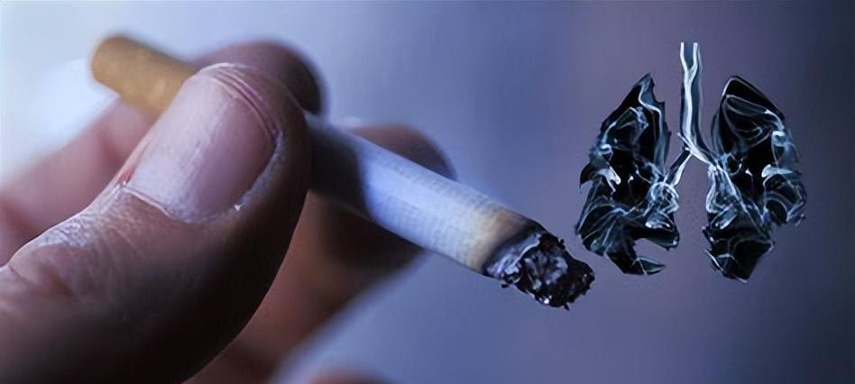 诡异!成都午夜惊现树木“自燃”,消防员都惊呆了 凶手竟是烟头
