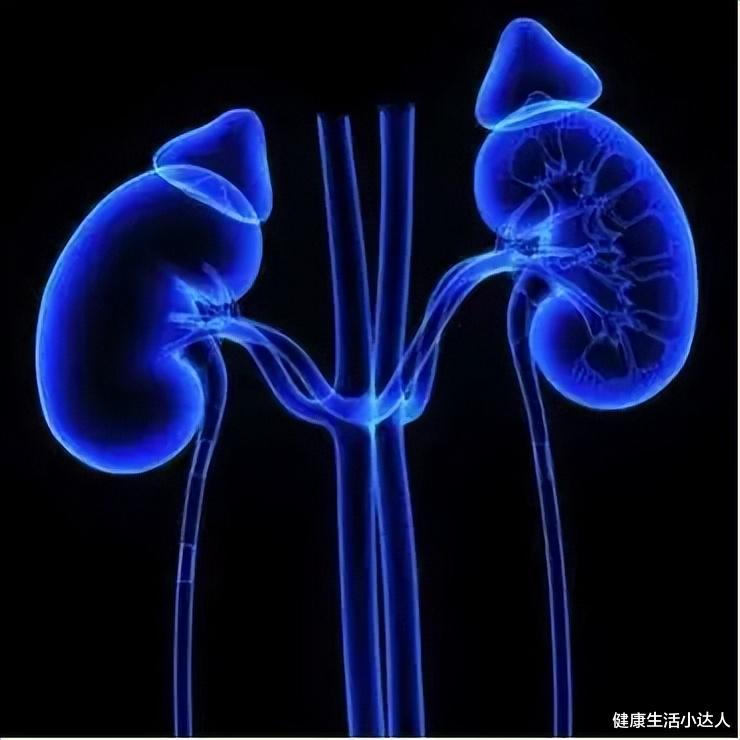 运动|肾不好了,脸上会出现4个异常,只占一个,也要开始养肾了