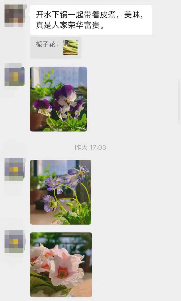 想找一个晒花、聊天的群,赶紧来看看这篇文章!