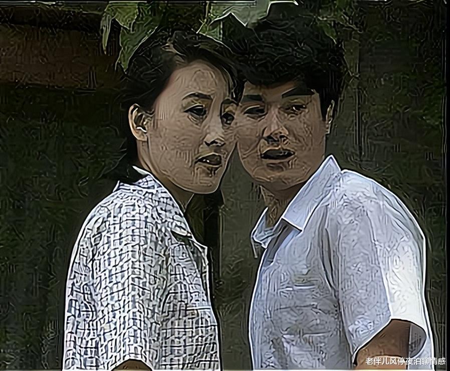 刘慧芳|《渴望》：伪善、绿茶刘慧芳的苦命，其实都是自作自受！