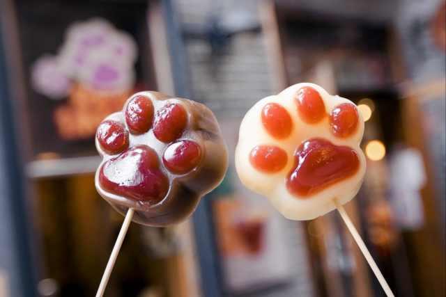 Python|寻找“虎”年年味丨携尼康Z 7Ⅱ打卡粤府老街