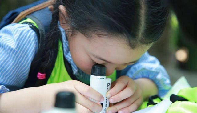 若是不差钱，让孩子尽早接触这6种物品，远离手机，还越玩越聪明