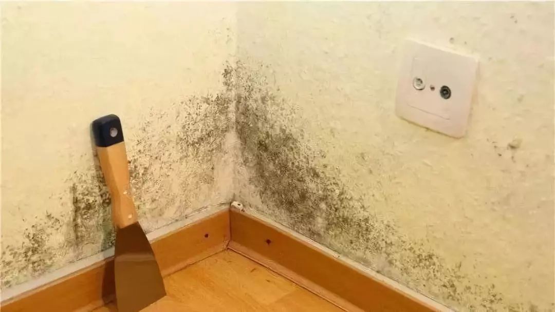 前人的肺腑之言，帮你熟练避开装修的9个大坑