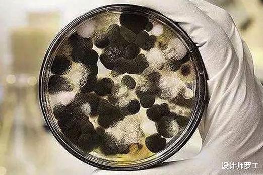 每年雨季一到,家里“到处发霉”?教你2招,霉斑自动消失