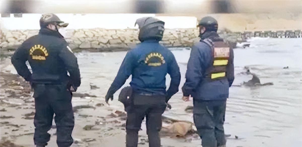 51岁墨西哥女子网恋异国年轻男友,奔现后却陈尸海滩,器官被掏空