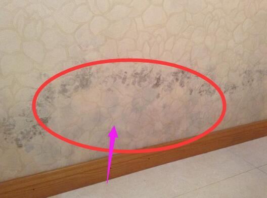 装修还死心眼不听劝? 这22个狗血装修遗憾别不当回事, 个个气爆你肺