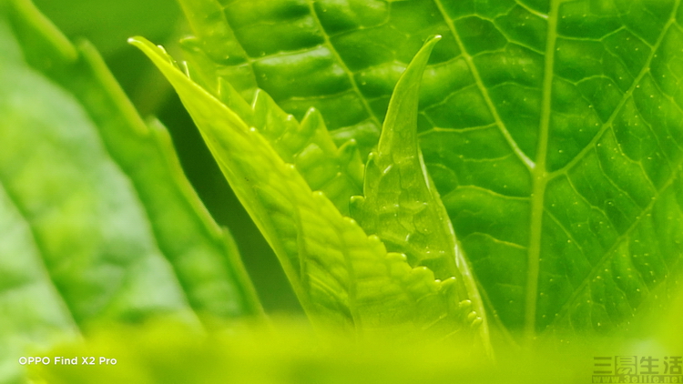 cmos|时隔一年多，手机的超大底CMOS为何又火了