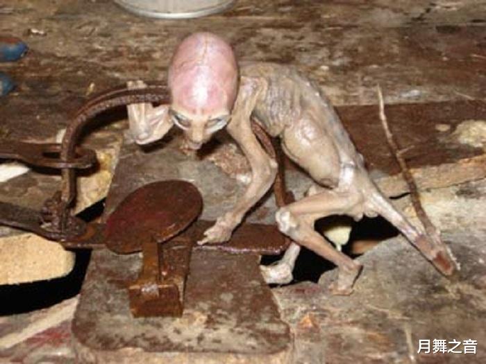 神秘\地心人\没准真实存在 墨西哥惊现地鼠人,长相怪异酷似外星人