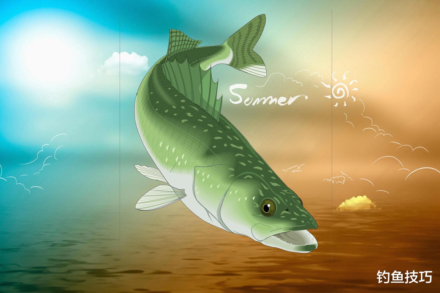 |夏季钓鱼的4种最佳天气，鱼口非常好，鱼获比平时多出好几倍