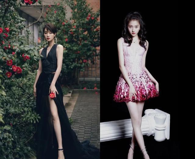 蓝盈莹|蓝盈莹的真实身高让张柏芝惊讶,其实不少女星看着矮实际上挺高