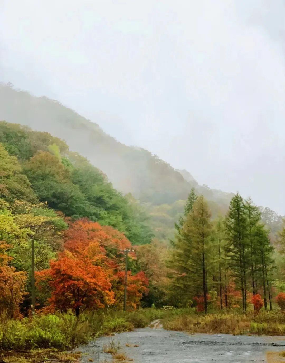 本溪|挖到秋色绝美东北小城,枫叶秒杀京都,还有复古火车和温泉