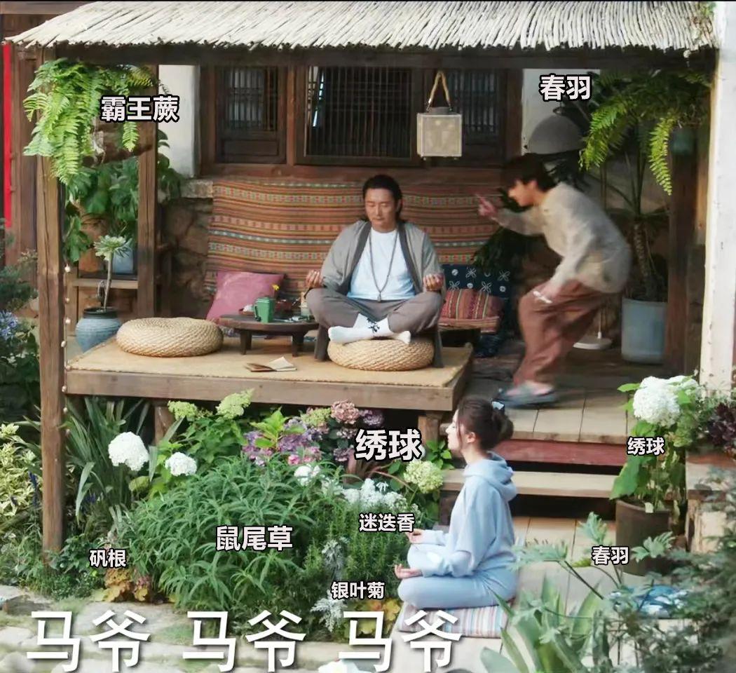 央视|《去有风的地方》感受草木温柔了时光治愈力!