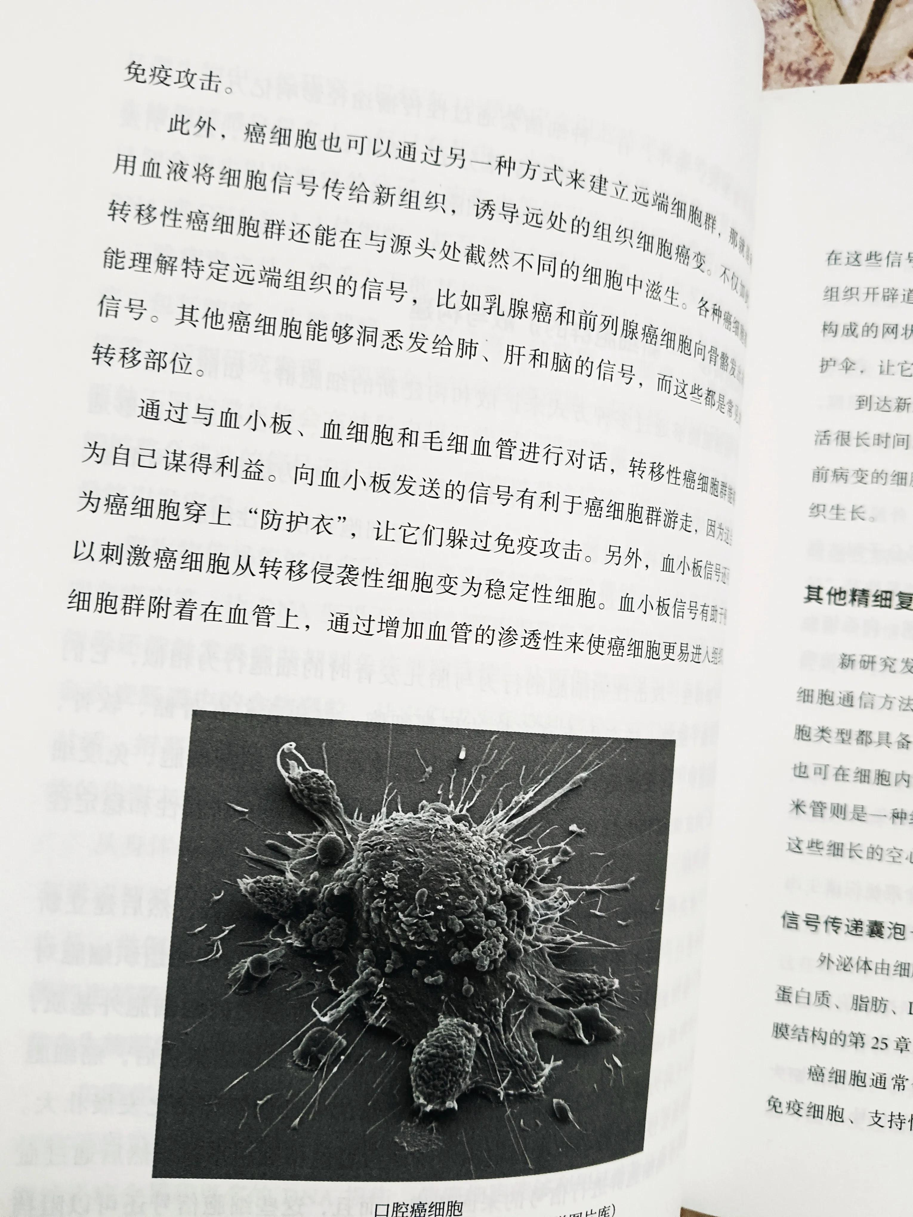 了解我们人体、细胞、整个有体相互作用机理,让我们更好保持健康