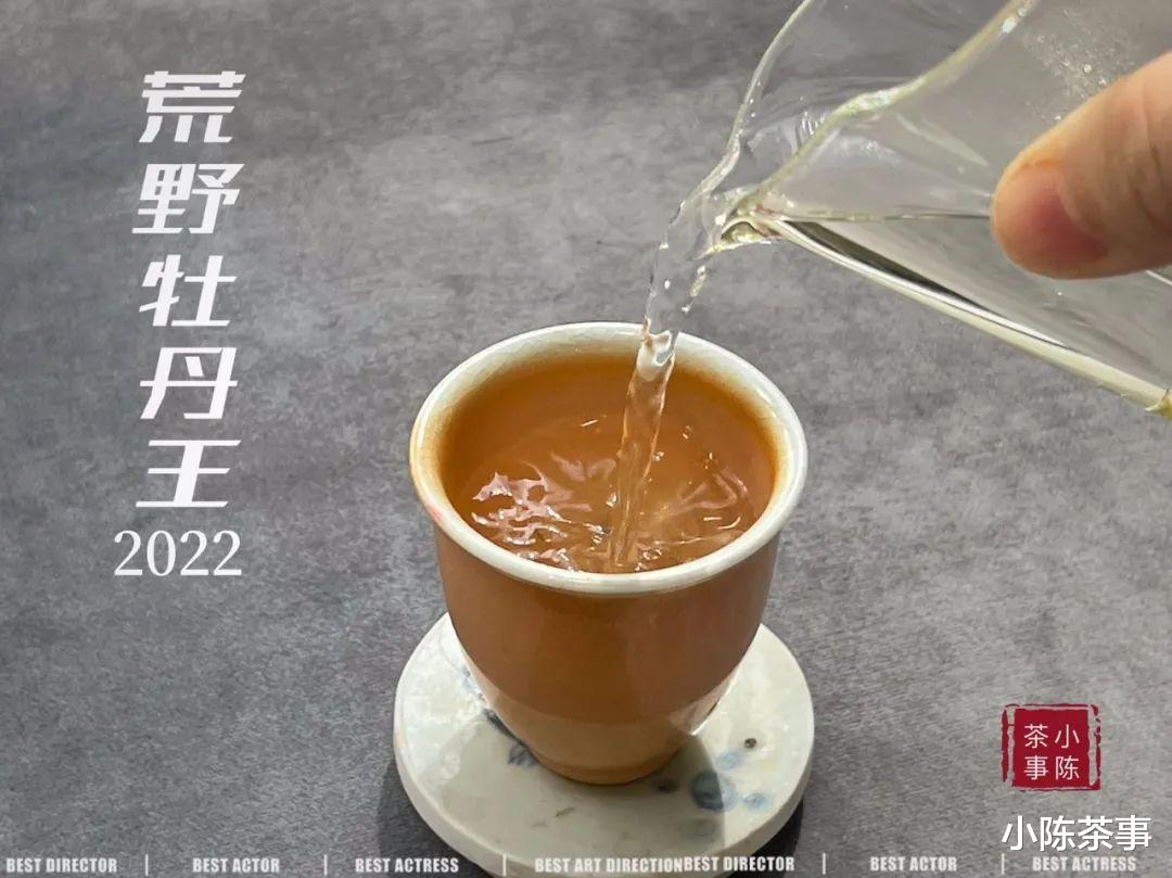 脑出血|冰箱、地下室、紫砂罐、木箱,这4个存白茶误区,你踩雷了几个?