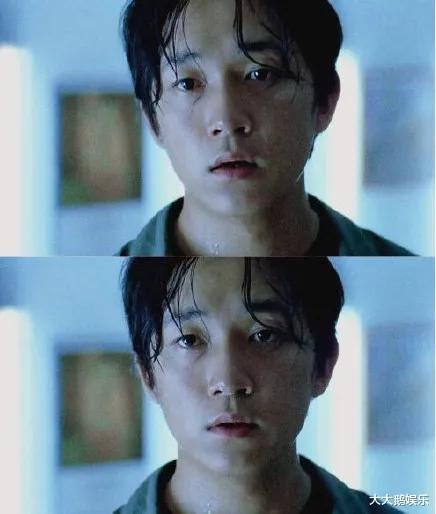 董洁|董洁的悲惨,是在“白天鹅”被“癞蛤蟆”吃到时就已经注定了的