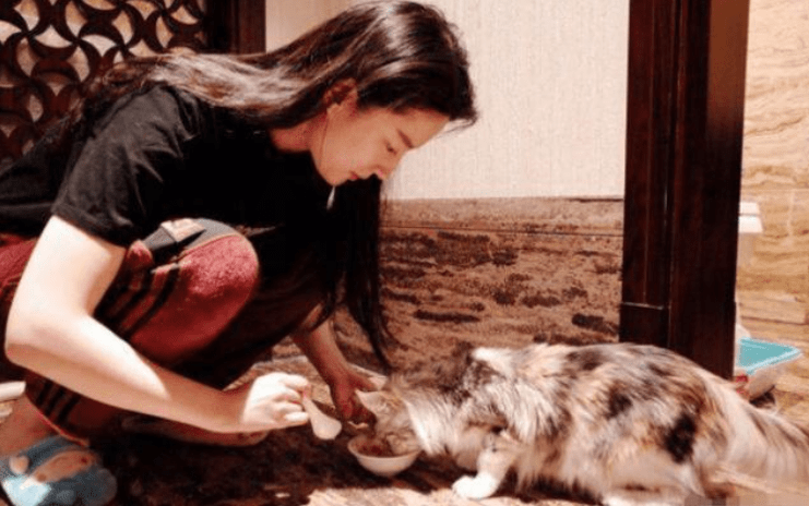 刘亦菲|刘亦菲李现菜市场路透,刘亦菲被骂发福严重,李现被吐槽是过气咖