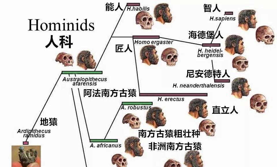 瑞典科学家获诺奖花絮:一直以为自己是同性恋,直到遇见一个女人