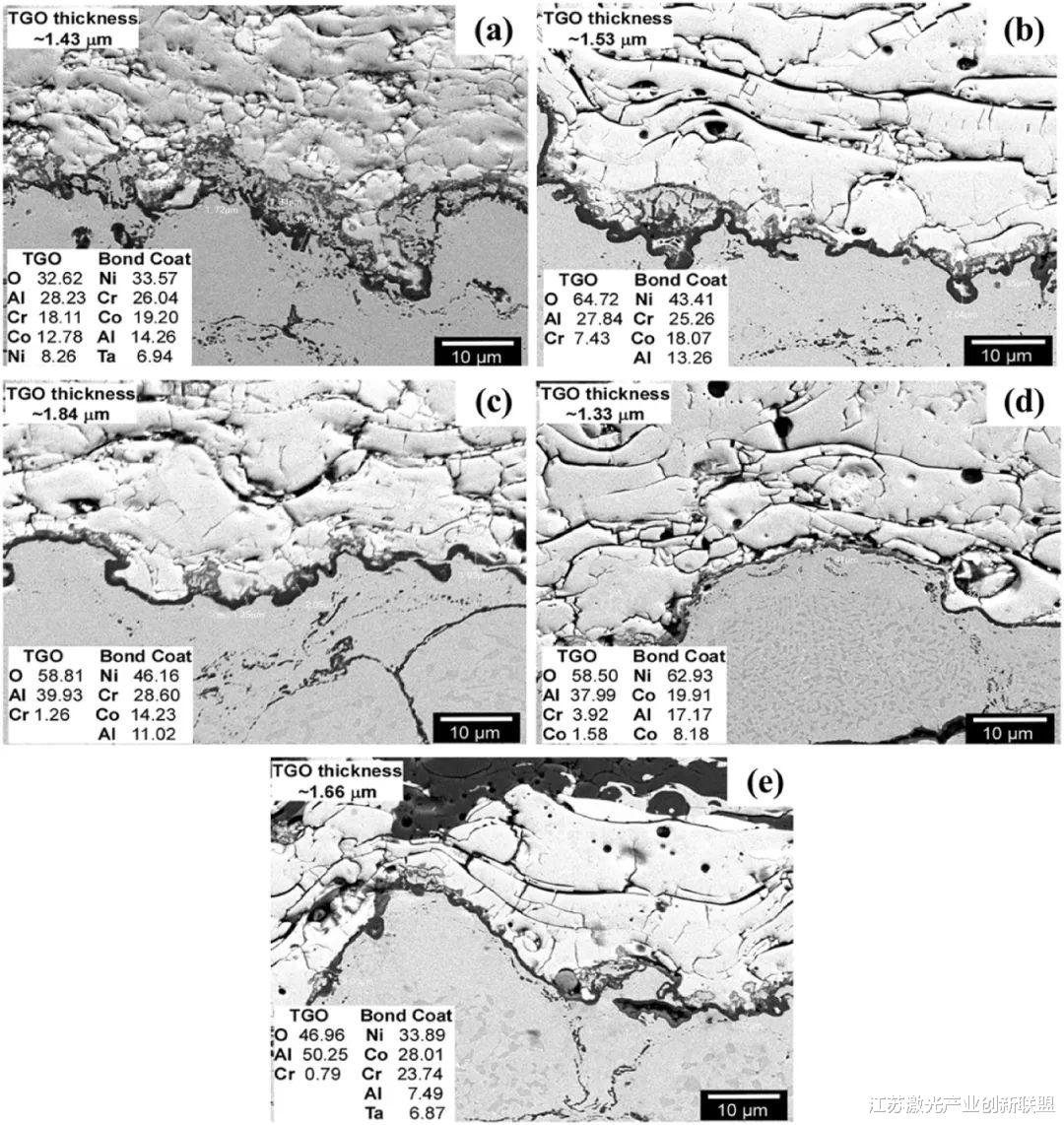 功能梯度涂料的关键综述: 方法、性能和挑战(1)