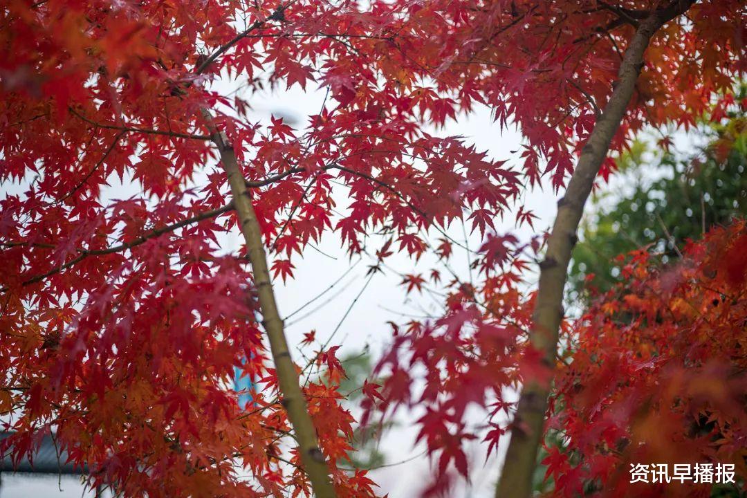 洞庭西山|叮咚!来自苏州太湖西山岛的初冬绝美壁纸来袭~