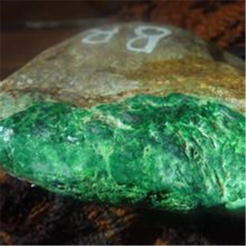 |新手小白学赌石，翡翠赌石皮壳绿色的形态，你了解哪些！