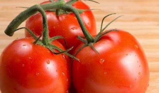 西红柿|与西红柿相克的食物有哪些?两者尽量不要一起食用,不要不放心上