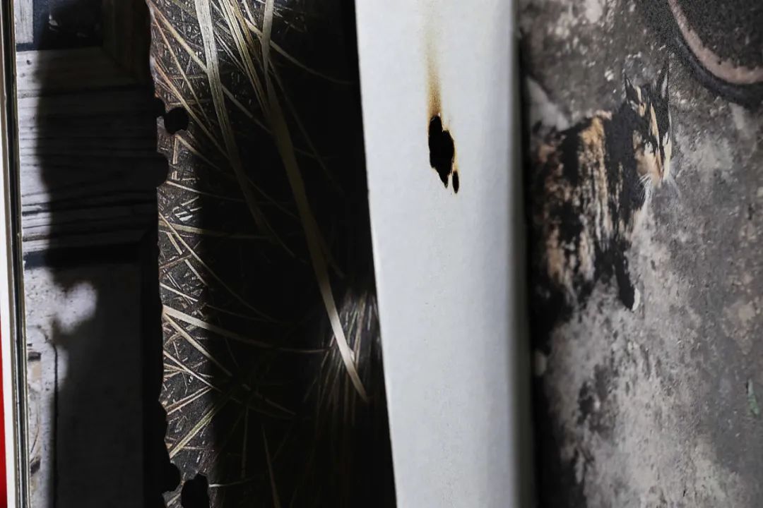 摄影的书不应该被摄影所束缚