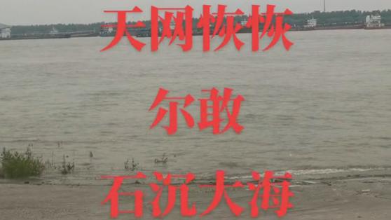 许敏外甥调查河河被拐案，侧面出发调查真相，直言：尔敢石沉大海