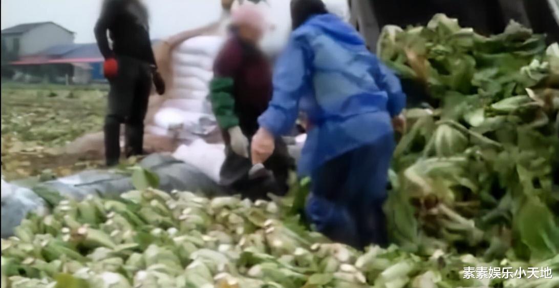 侯耀华|汪涵被骂翻!昔日吃面视频曝光,吐面动作被指太假了